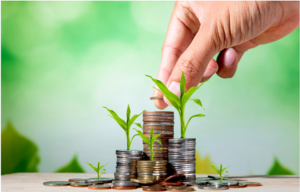 Business Loan